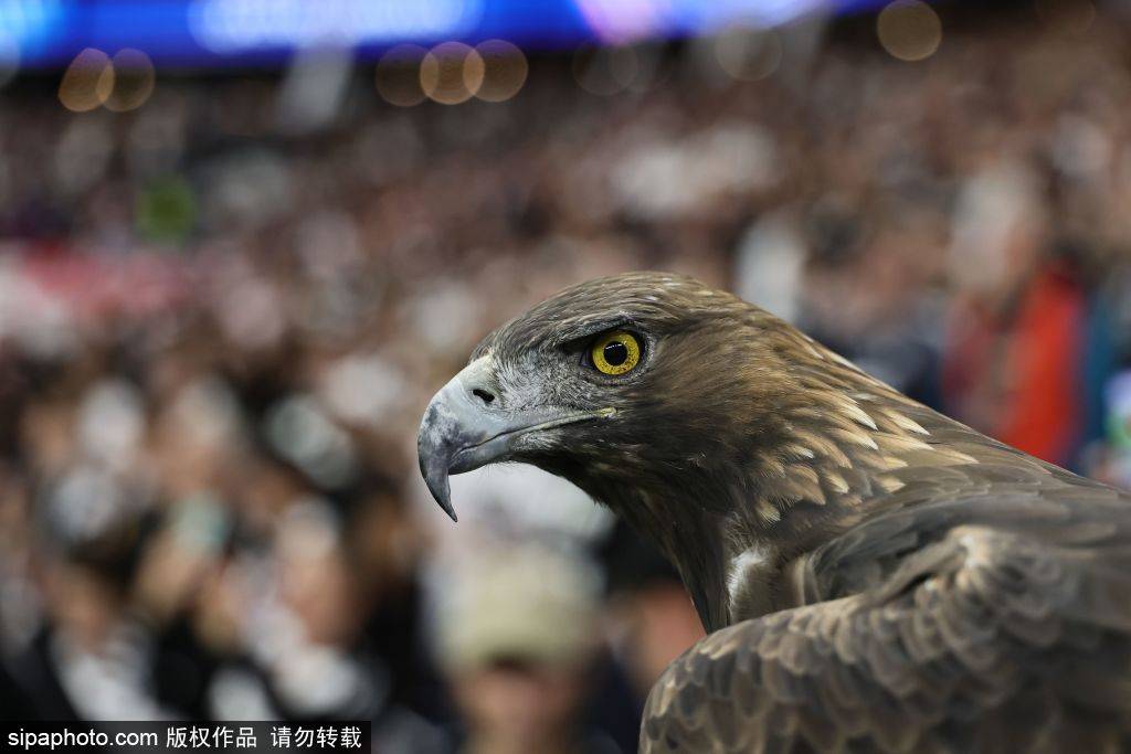 的下一步选 的下一步选